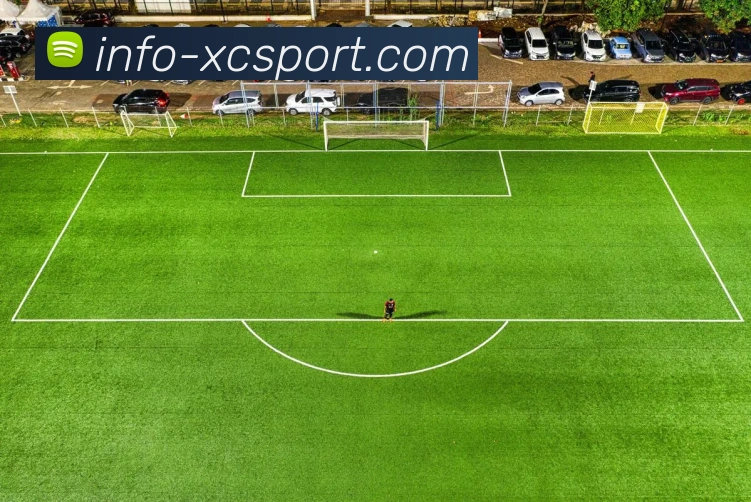 杏彩体育APP 高清赛事图